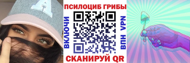 Галлюциногенные грибы Cubensis  Купить где  Лесосибирск 